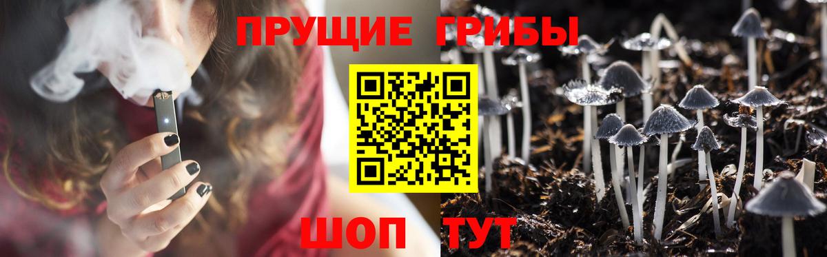 Шали  Псилоцибиновые грибы GOLDEN TEACHER  Вход с VPN  Галлюциногенные грибы Psilocybine cubensis 